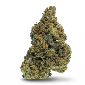 Gelato 33